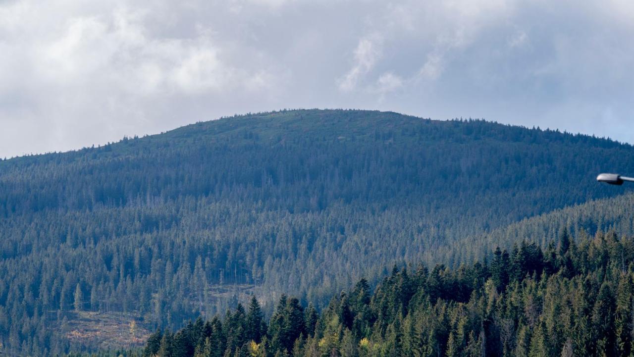 U Jedrusia Appartement Zubrzyca Gorna Buitenkant foto