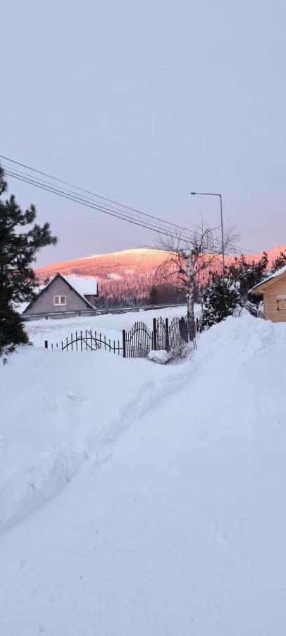 U Jedrusia Appartement Zubrzyca Gorna Buitenkant foto